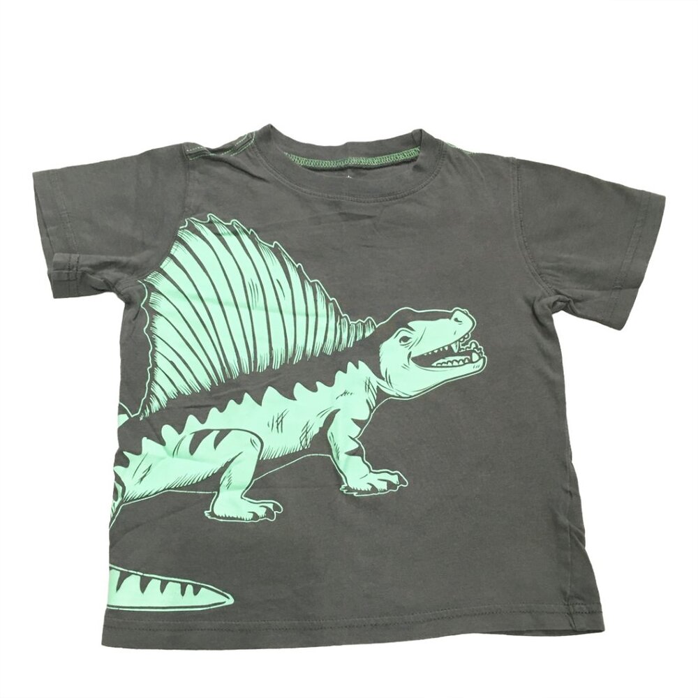 Carter's Kid's Gray Dino T-Shirt Size 3T